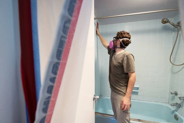 Best Basement Mold Removal  in La Luz, NM