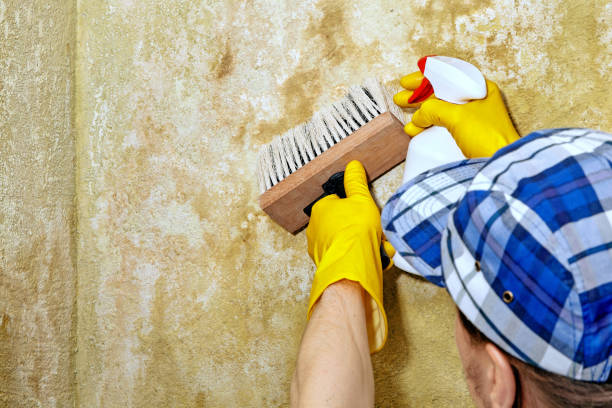 Mold Remediation for Rental Properties in La Luz, NM